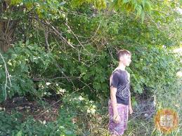 We did not find results for: Kp V Ukraine Telegram