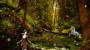 Download our free software and turn videos into your desktop wallpaper! High Definition Collection Forest Wallpaper Hd Gif 1280x720 Wallpaper Teahub Io