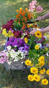 To 5 p.m.) at the traverse city tourism office at 101 west grandview parkway. Old Mission Flowers