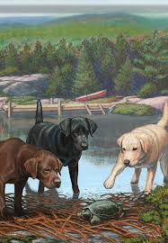12 99 Curious Labs House Flag Dog Labrador Retriever Decorative Double Sided 28 X40 Ebay Home Garden Flag Decor Labrador Retriever House Flags