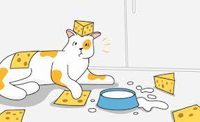 Cats And Seafood Can Cats Eat Tuna Salmon Or Sardines