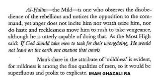 meaning of one off allah s names al halim meant to be islamic quotes allah