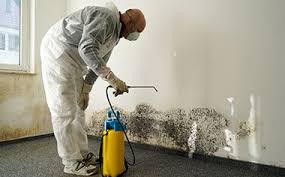 Mold inspection & testing services all of virginia beach offering unbiased mold testing to those concerned about indoor air quality; Mold Detection Removal Services Virginia Beach Va