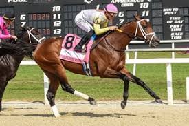 Black Mackee, Sired 39 Stakes Winners, Dead