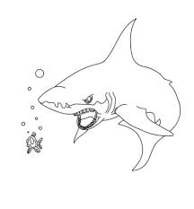 Coloring pages are fun for children of all ages and are a great educational tool that helps children develop fine motor skills, creativity and color recognition! 33 Free Shark Coloring Pages Printable