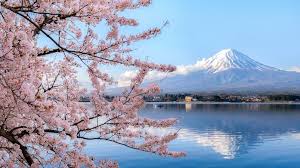 Japan i/dʒəˈpæn/ is an island nation in east asia. Japan Focus Top Stories On The Japanese Cosmetics Industry