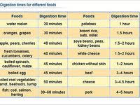 Check spelling or type a new query. 14 Best Food Digestion Time Chart Ideas In 2021 Digestion Food Digestion Time Chart Food Combining