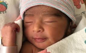 Lifecycles for the week of July 10, 2020