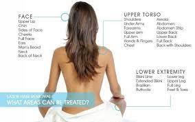 Laser hair removal cost by body area, laser hair removal pricing chart, nationwide network of hair removal specialists, tips for finding the best laser this means that laser hair removal prices in new york are not exactly the same as treatment costs in atlanta. Full Body Laser Hair Removal Cost