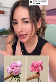 Rosas Inglesas Vs Peonias