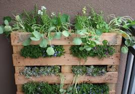 Creating raised garden beds can be easy and less expensive than you think by using wooden pallets. How To Make Your Own Vertical Pallet Garden In Three Easy Steps 1 Million Women