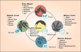 About Me Feel Better Kauai Chinese Medicine Acupuncture Acupuncture Archetypes Chinese Herbal Medicine