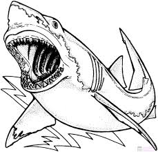 Maybe you would like to learn more about one of these? 2750 Los Mejores Dibujos De Tiburones Para Colorear