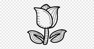Berikut adalah artikel tentang cara menanam tulip di negara tropis seperti di indonesia. Tulip Menggambar Lukisan Buku Mewarnai Bunga Tulip Daun Monokrom Png Pngegg