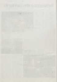 Chaotyczny czy odpowiedzialny?