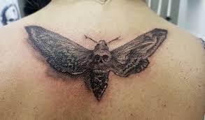 Le sphinx tête de mort a un corps épais et allongé et des ailes avant triangulaires, dont la face arrière est gris ou noire avec deux bandes jaunâtres et quelques taches brun rougeâtre. Facebook