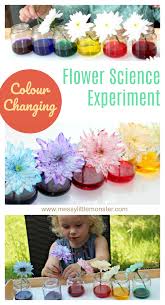 We did not find results for: Colour Changing Flowers Science Experiment A Fun Science Project For Kids Messy Little Monster