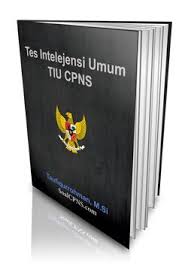 Tiu Cpns Tes Intelejensi Umum Pola Platinum Membaca