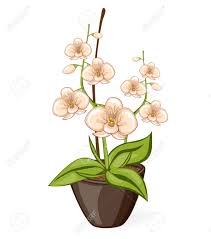 Next may be the photo about imagenes de manos animadas para imprimir that you could create an insight. Dibujos Animados En Blanco Phalaenpsis Flor De La Orquidea En El Bote Vector Ilustrado Aislado Flor Floreciente Ochidea Ilustraciones Vectoriales Clip Art Vectorizado Libre De Derechos Image 68092798