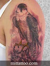 Hỗ trợ mọi thiết bị như di động và máy tính bảng. Y NghÄ©a Hinh XÄƒm Ä'áº¡i Bang XÄƒm Hinh Lai Chau Mit Tattoo