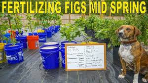 Maybe you would like to learn more about one of these? Wholesale Flowers Wilmington Nc 09 2021