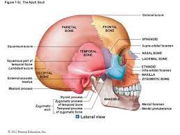 Pin On Mind On Medicine