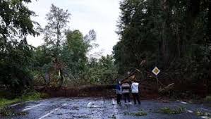 Gibt es in den kommenden tagen unwetter? Ddwpizbm3gq2um