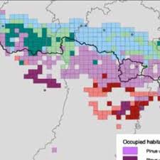 Pdf L Avifaune Et Les Petits Mammiferes Infeodes Au Pin A Crochets In Evaluation Patrimoniale Des Populations De Pin A Crochets Aux Pyrenees