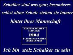 Liga scores you can follow 1000+ football competitions from 90+ countries around the world on flashscore.com. Schalke