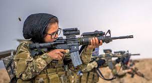 The department of defense ig is the designated lead ig for operation freedom's sentinel (ofs). Operation Freedom S Sentinel Wikipedia