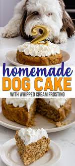 Easy Homemade Dog Cake Crazy For Crust Recipe Dog Cake Recipes Dog Biscuit Recipes Dog Treats Homemade Recipes