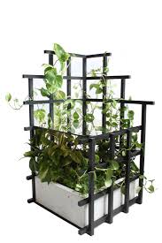 The mandevilla vine (rocktrumpet plant) has become a popular spring garden center item over the past few years. Indoor Vines Trellis Tables And Shelves From Moonish The Organized Home