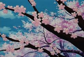 Cherry blossoms or sakura in japanese are a majestic symbol of spring. Cherry Blossom Tree Anime Gif