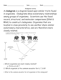 Cladogram Activity 1