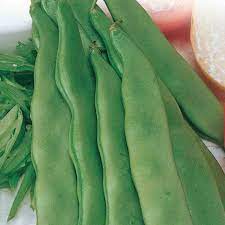 Check spelling or type a new query. Bean Seeds Romano Bush Mckenzie Seeds