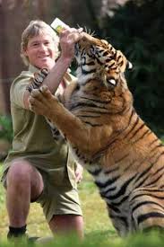 Mega air dave tv croc! Classic Steve Irwin Steve Irwin Crocodile Hunter Irwin Family