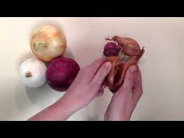 Bawang tu kita hiris kasar. Ismi Uwais Perbezaan Jenis Bawang Dalam Masakan