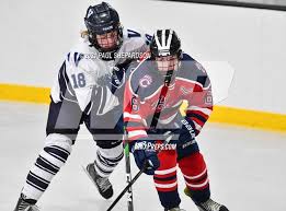 Jaxon Brandhorst's Chaparral High School Bio