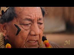 Alexandre Allard visita o Alto Xingu