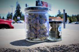 9 Ways To Keep Your Weed Fresh And Potent