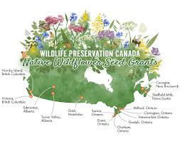Without collecting enough good sources of nectar and pollen from flowers during the warmer months. Wildflower Seed Grants Wildlife Preservation Canada