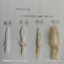 守正出奇,行稳致远—— 孔曼子的2024 - 集思录