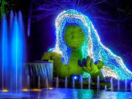 Check spelling or type a new query. See Magical Christmas Lights At Atlanta Botanical Gardens Trips To Discover
