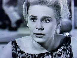 The fugitive tv series episode guide