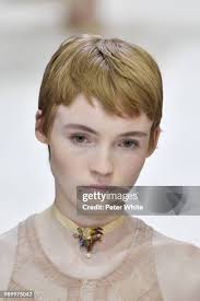 224 Peter Gillespie Stock Photos, High-Res Pictures, and Images