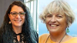 Paraeducators: Understanding their Role