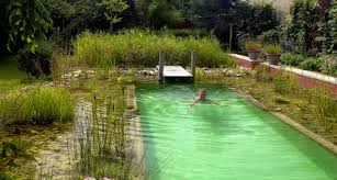 top 20 de piscines originales piscines naturelles a debordement sportives piscine naturelle etang de baignade piscine