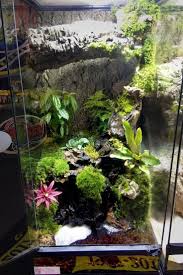 Image Result For Hydroballs Terrarium Vivarium Frog Terrarium Snake Terrarium