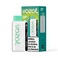 VOZOL DISP GEAR 9000 PUFFS 5CT - MIAMI MINT
