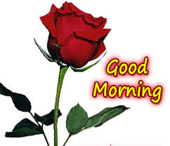 For A Lovely Good Morning Good Morning Wishes Good Morning Wishes Quotes Good Morning Love